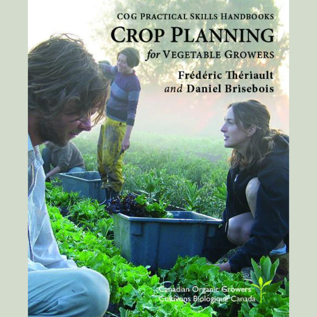 Dans un champ couvert de brume, trois individus cueillent des légumes verts feuillus, incarnant la précision décrite dans « Livre - Crop Planning For Organic Vegetable Growers » de TS. Un homme inspecte les plantes en s&#39;alignant sur son manuel agricole, tandis qu&#39;une femme s&#39;agenouille à côté d&#39;un panier, illustrant un plan de culture efficace. Une autre personne se tient debout, tenant des légumes verts, illustrant le calendrier de plantation réfléchi.