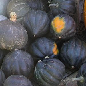 Une pile de Courge Poivrée Table King - semences bio vert foncé de Tourne-Sol, présentant des surfaces nervurées et des taches jaune-orange vibrantes.