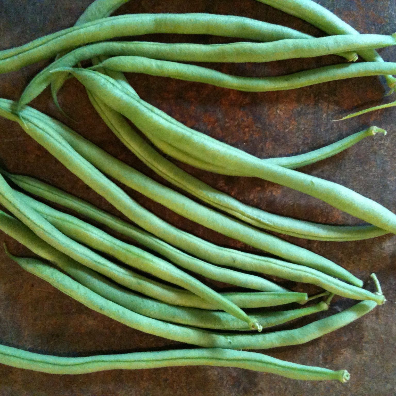 Gros plan de plusieurs haricots *Haricot Grimpant Vert Cobra - semences bio* de Tourne-Sol dispersés sur une surface sombre et texturée. Ces haricots fins varient en taille et s'enroulent légèrement, mettant en valeur leur forme naturelle et leur couleur verte vibrante.