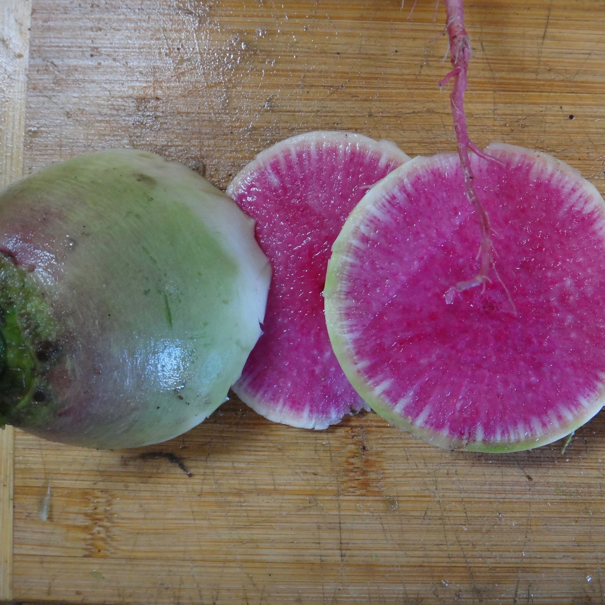 Un Radis Melon d'Eau - semences bio de Tourne-Sol entier et deux morceaux tranchés reposent sur une planche à découper en bois, présentant un design rond avec une peau blanche à l'extérieur et une chair rose vif à l'intérieur.