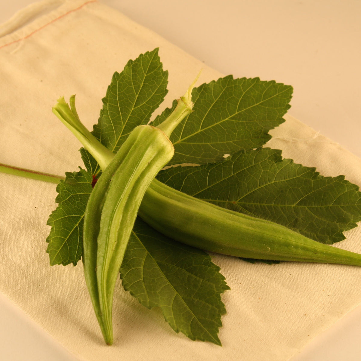 Gros plan sur Okra Clemson Spineless 80 de Tourne-Sol : deux gousses allongées, vert vif, aux crêtes visibles et quelques feuilles fraîches sur un fond de tissu clair.