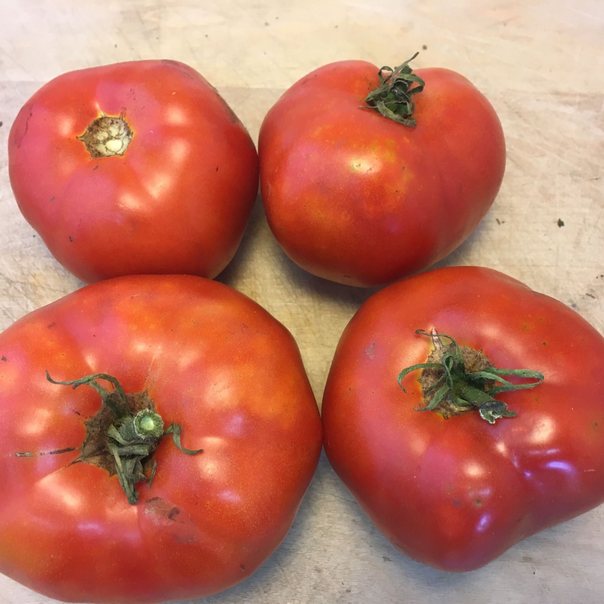 Quatre tomates rouges Tomate Rouge Moskvich - semences bio de Tourne-Sol aux tiges vertes sont placées sur une surface en bois clair, mettant en valeur la teinte vibrante caractéristique de cette variété.