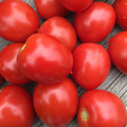 Un tas de petites tomates Tomate Rouge Ruby-Sol sur une surface en bois (Tourne-Sol).